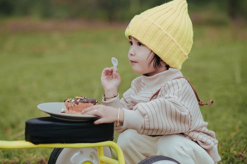 Forest Picnic Celebrations